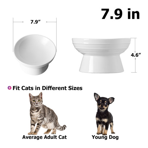 Y YHY Elevated Dog Bowl & Reviews Wayfair